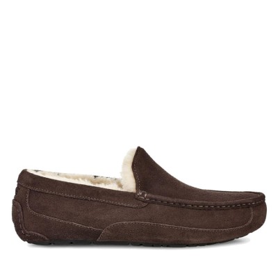 MENS Ascot Chocolate