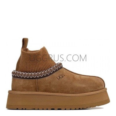 Tazz Knit Chestnut