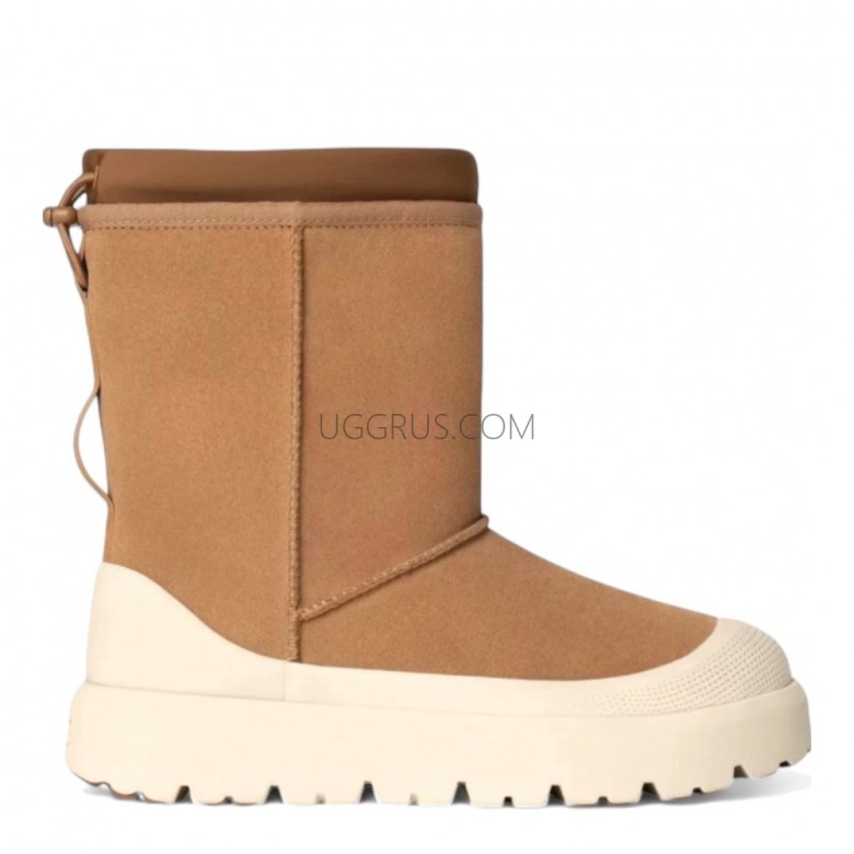 UGG Classic Short Weather Hybrid Chestnut