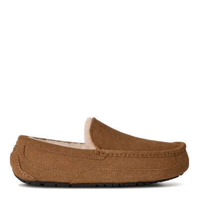 MENS Ascot Chestnut