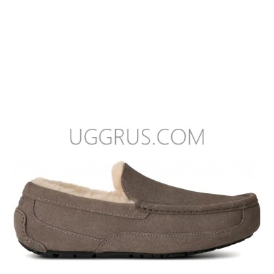 MENS Ascot Grey