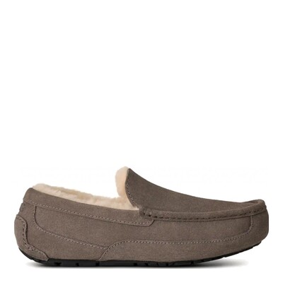 MENS Ascot Grey