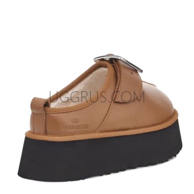 X Oc Tasman Brown