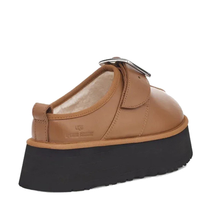 X Oc Tasman Brown