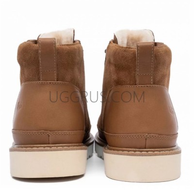 Neumel Gentleman Chestnut