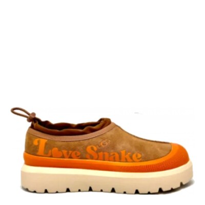 Tasman Hybrid Love Snake Orange