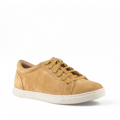 Chestnut